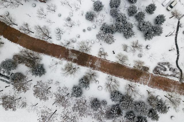 纯净的雪是什么颜色的，雪一共有几种颜色（想知道雪的颜色吗）