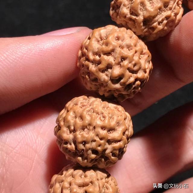 金刚菩提怎么变红，金刚菩提变红原理（怎么才能盘出牛津红）