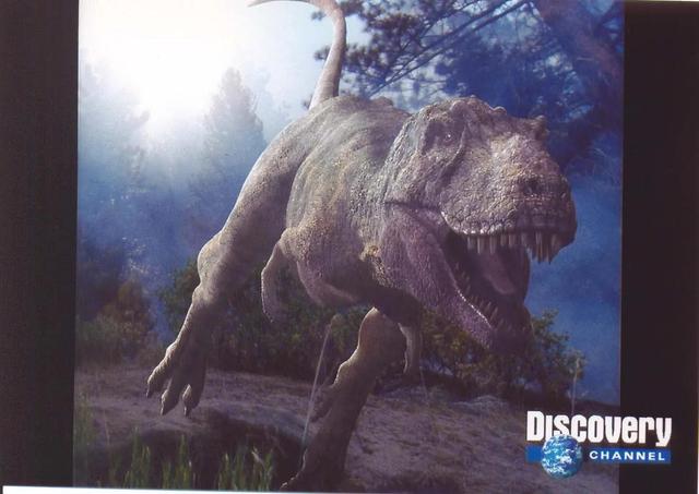 加斯马吐龙是鳄鱼吗，加斯马吐龙（历史上的恐龙时代是怎样的）