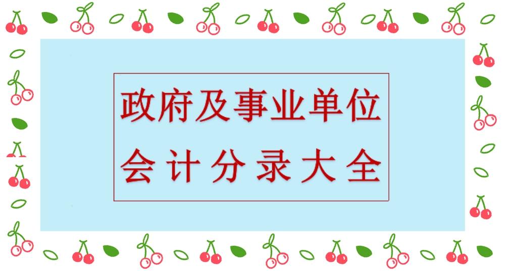 政府会计双分录（感激不尽）