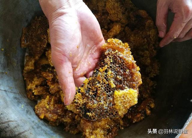蜂巢是怎么形成的，蜂巢蜜里面嚼不烂的是什么东西（老蜂农为你讲解黑色蜂巢）