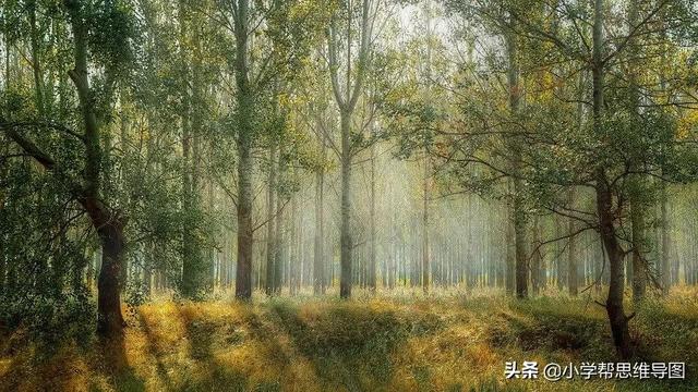 春天的作文怎么写，怎么写春天的作文（：​《找春天》《我为家乡的公园代言》《暖​》）