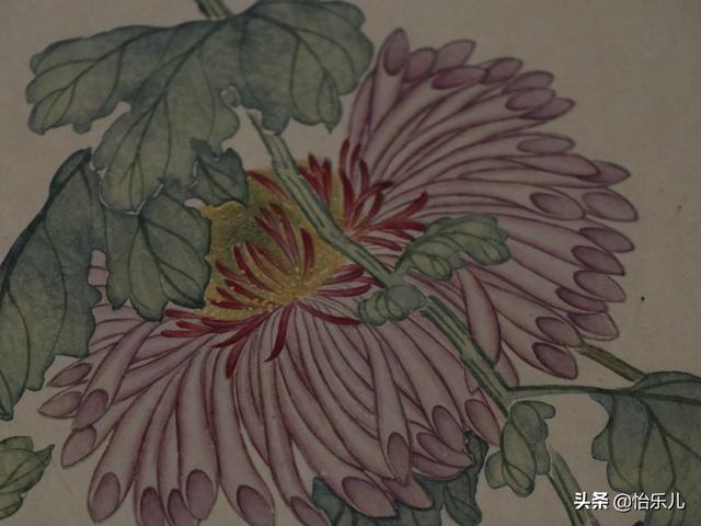 葩的读音（葩怎么读，葩是什么意思（金佛座、搓粉妆、绶带紫、鹤头丹）