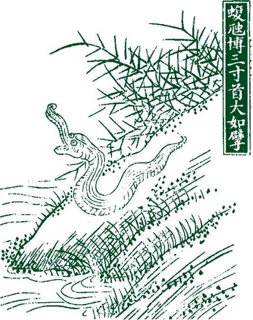 棪字取名的寓意，洤字取名的寓意（上古时期的神兽现在还有几个）