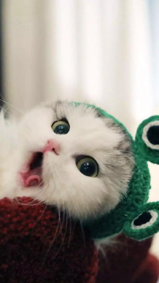 喝水时间表壁纸,喝水多多怎样开启仅在手表提醒(那你已经喜欢70%的我了) 喝水时间表壁纸,喝水多多怎样开启仅在手表提醒(那你已经喜欢70%的我了)