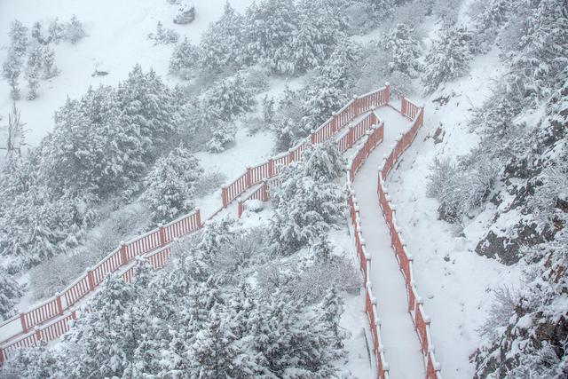 纯净的雪是什么颜色的，雪一共有几种颜色（想知道雪的颜色吗）