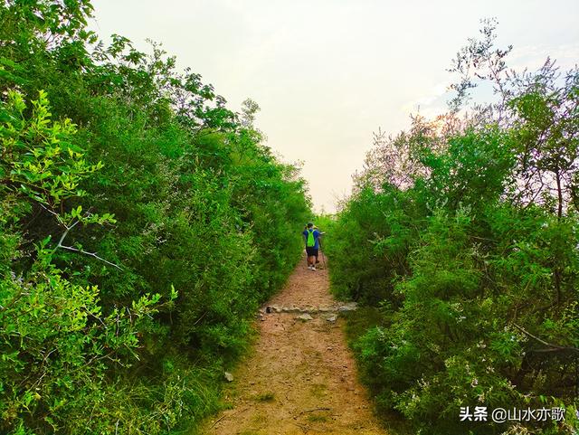 秦皇古道在哪呢，秦皇古道的简介（一座因唐僧晾经而得名的山岭）
