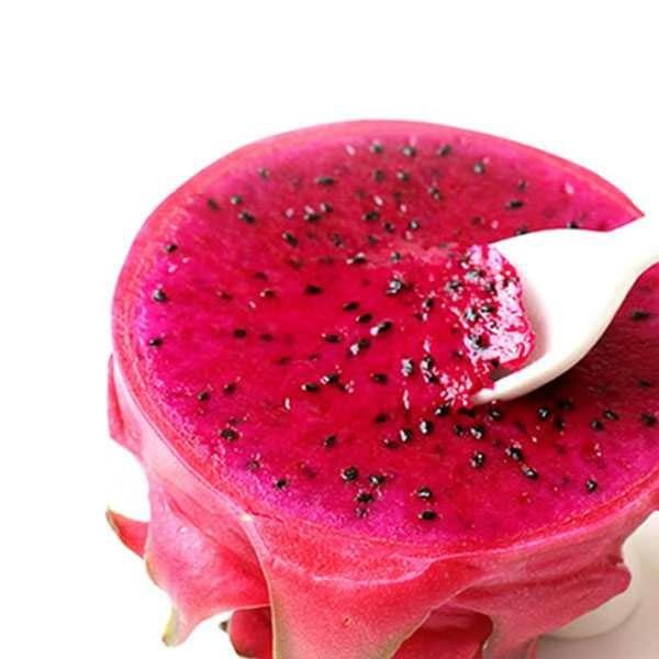 图片[3]-火龙果和什么一起榨汁好喝？饮用火龙果汁有什么好处？-起舞食谱网