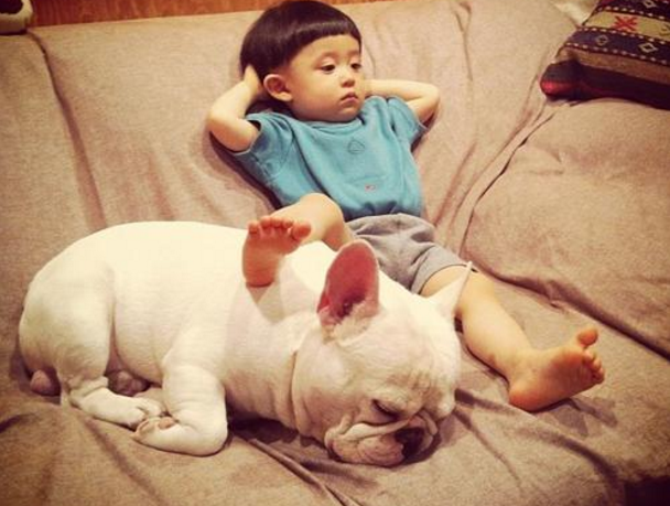 德国黑贝多少钱一只，最受孩子“欢迎”的6种狗（德国黑贝的价格）