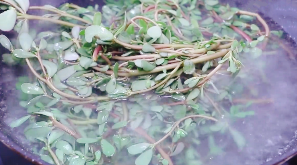 图片[3]-【马齿苋馅饼】做法步骤图 不炒不凉拌 一顿吃2个比吃肉还香-起舞食谱网