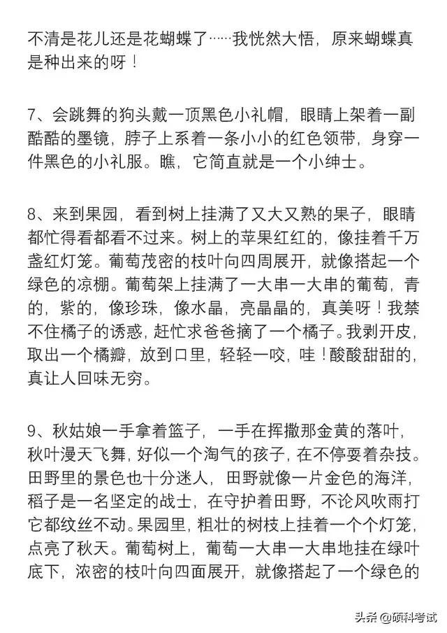 二年级好词好句，二年级好词好句怎么写（小学二年级语文好词、好句积累）