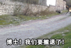 臭鼬头是什么梗，臭鼬人是什么梗（“臭鼬”少女因太过可爱）