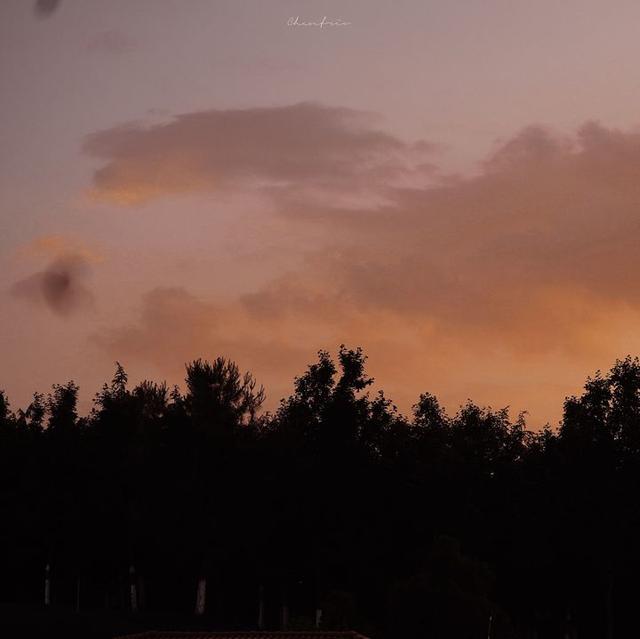 美好阳光且干净的女生头像  星空迷上了山野微信，美好阳光且干净的女生头像  星空迷上了山野，有雾有灯也有归人。（有哪些好看非人物的头像）