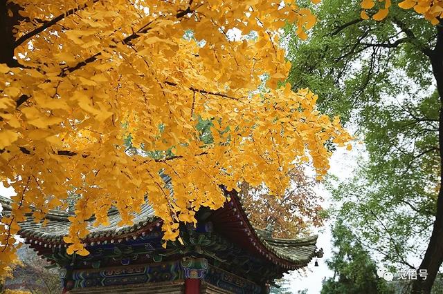 帝京如画，帝京如画小说讲了什么（一生必访的108佛教圣迹：长安佛教的摇篮终南山）