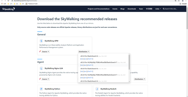 admin登录页面怎么进入，admin登录不进去（skywaking8.5的安装和搭建）