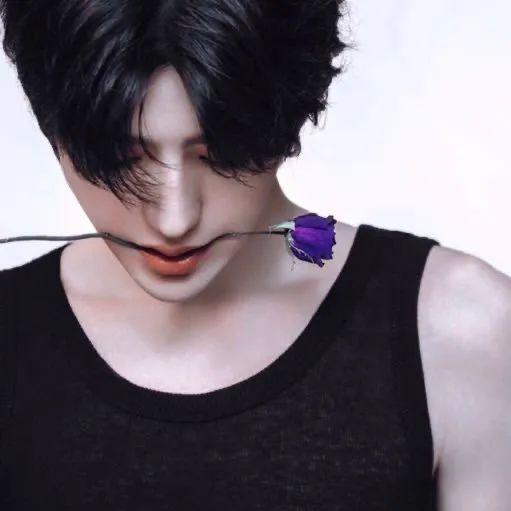 蔡徐坤微信头像，蔡徐坤（壁纸 ， 蔡徐坤壁纸，头像）