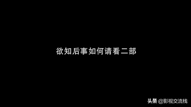 张嘉译、林申、李沁、刘奕君主演，一部被严重低估的卧底题材剧！