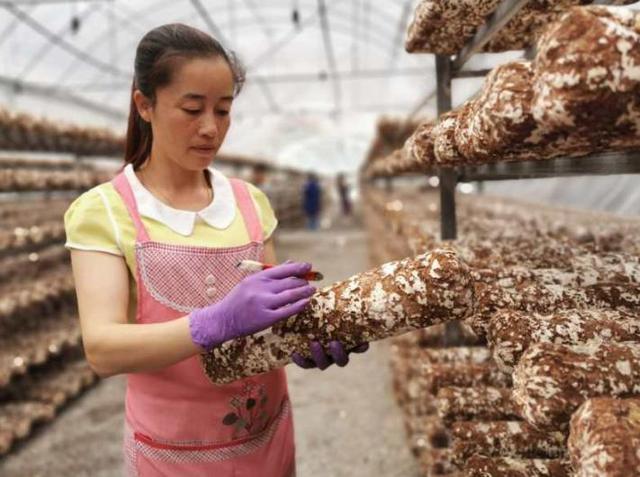 马粤慧老公黄健简历,马粤慧(绷紧为乡亲们服务的这根弦) 马粤慧老公黄健简历,马粤慧(绷紧为乡亲们服务的这根弦)