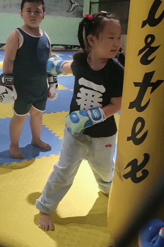 散打和自由搏击哪个更实用，自由搏击和散打哪个杀伤力大（搏击、武术、散打、跆拳道）