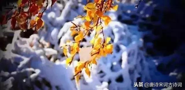 精选的咏雪的名句大全,咏雪的诗词名句(36首咏雪古诗词带你欣赏绝美之至) 精选的咏雪的名句大全,咏雪的诗词名句(36首咏雪古诗词带你欣赏绝美之至)