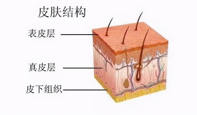 英诺小棕瓶多久打一次为最佳（火出圈的“水光针”市场乱象不止）