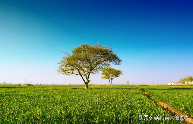 对影成三人是什么意思，举杯邀明月对影成三人的意思（李白的“对影成三人”是名句）