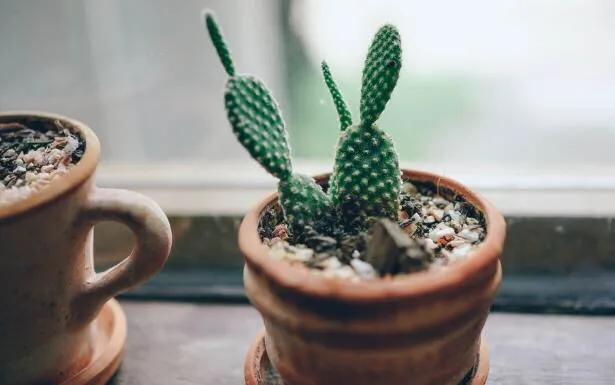  电脑怎样防辐射，经常面对电脑怎么防辐射（大大减少电脑带来的辐射） 