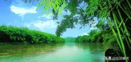 肇庆市各区面积排名，肇庆哪个县最大，哪个县最小