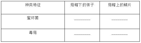 蚂蚁搬家故事，蚂蚁搬家故事绘本（小学语文1-6年级阅读理解55）