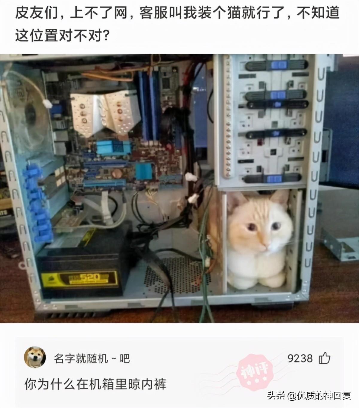 案例评价（有哪些以为是小罪）