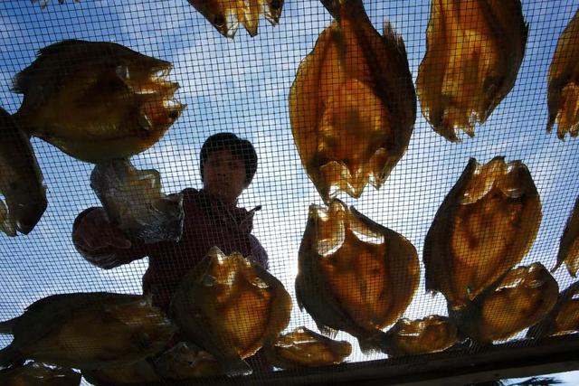 雷州半岛，不一样的冬天：慢游雷州半岛（雷州半岛属于哪个市）