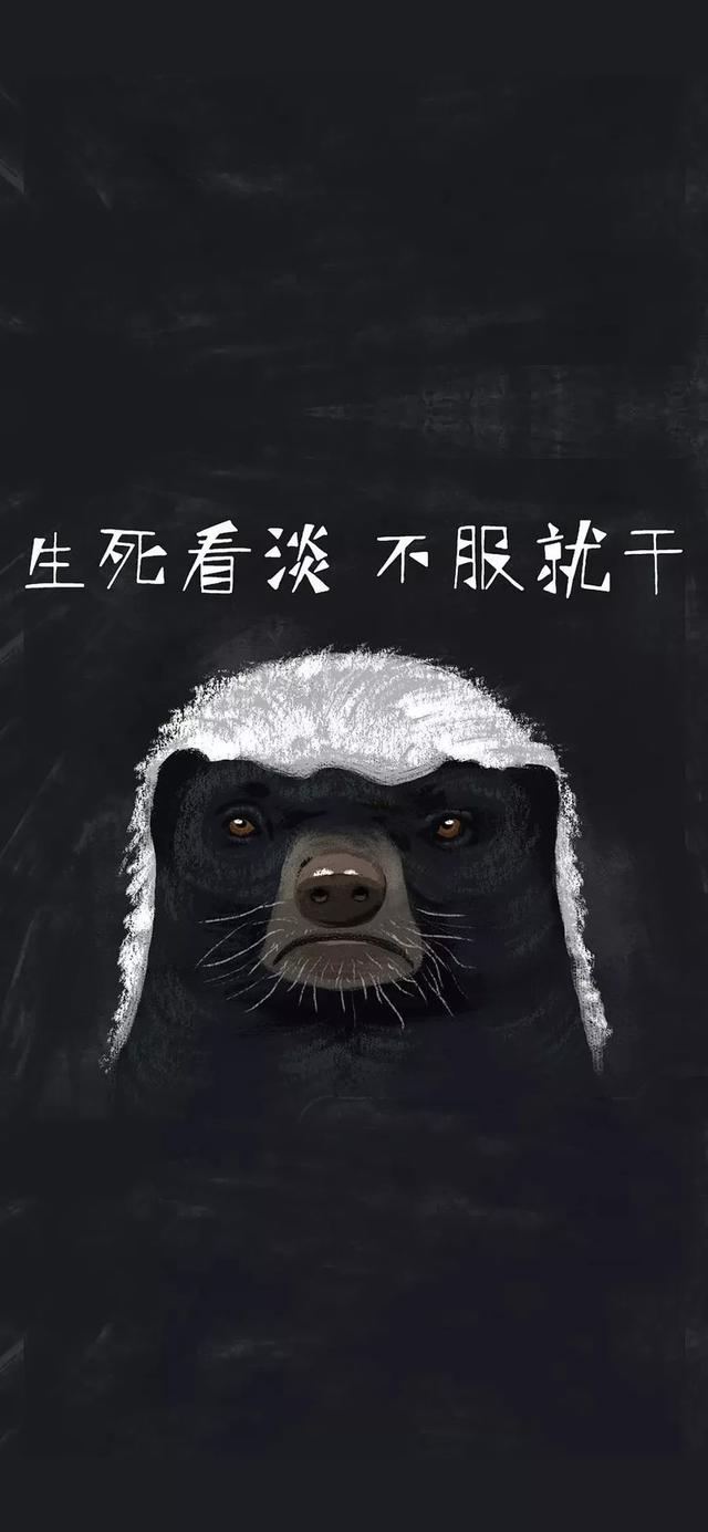 酷酷的壁纸。，简单好看的壁纸（酷酷的手机壁纸和你绝配哦图片）