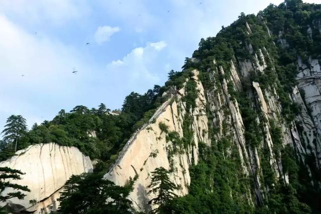 奇險天下第一山,奇險天下山是什麼山(華山為何被稱為