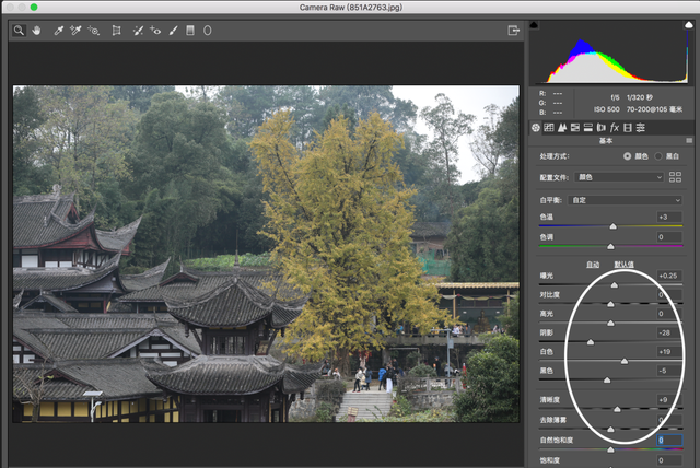 ps滤镜camera raw在哪，ps滤镜camera（如何拯救“灰姑娘”照片）