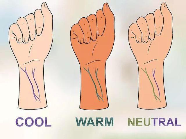 紫色血管是冷皮还是暖皮，怎样区分冷皮暖皮（原来冷暖肤色的搭配秘密这么简单）