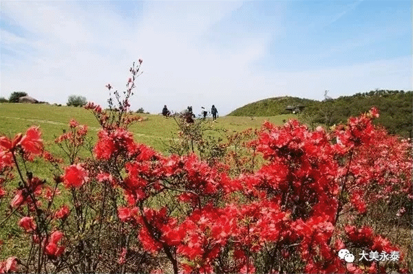 永泰旅游景点大全，永泰旅游景点大全图片（等我老了，就在永泰这样过）