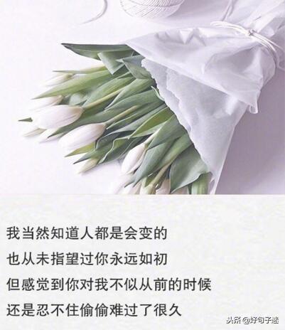 表白男朋友的情话，给男朋友表白的情话（写给男朋友甜言蜜语的情话）