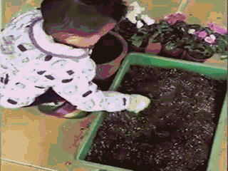 儿童简笔画蒜苗的画法，儿童画蒜苗简笔画图片（快培养一下你家的小花匠）