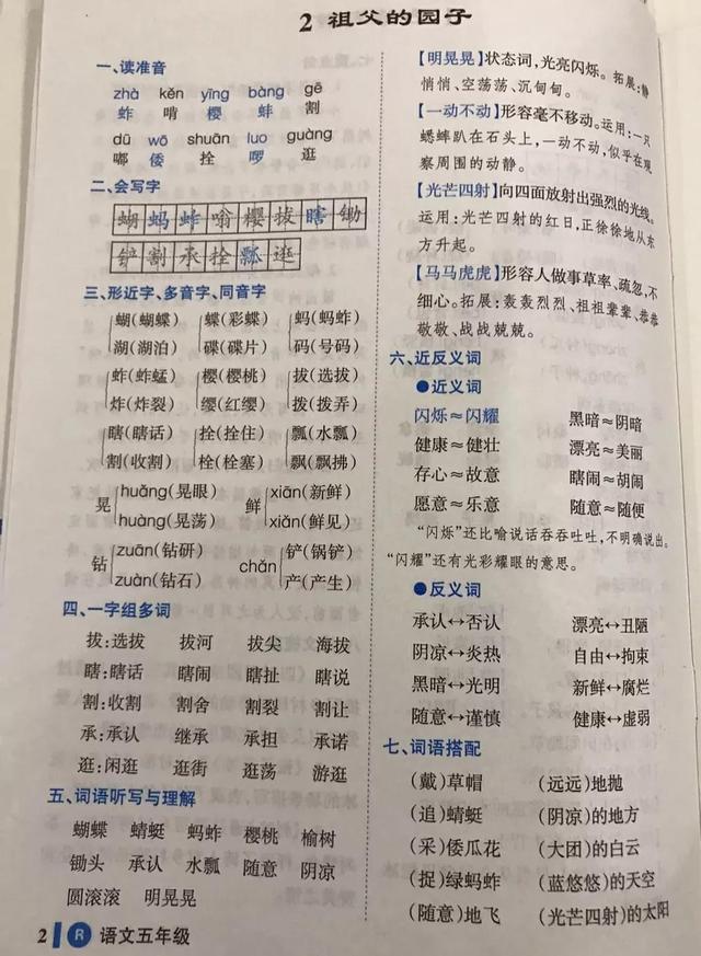 祖父的园子主要内容，祖父的园子课文内容简述（五年级语文下册第二课《祖父的园子》课文笔记和知识点）