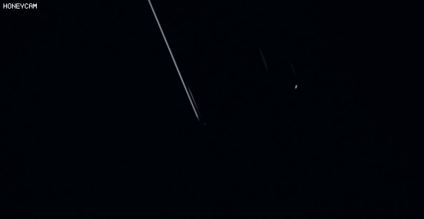 海豚和白鲸的区别，白鲸为什么是海豚（妹子的iPhone掉进大海后）