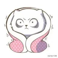 蛇的形态特征和生活习性，蛇的形态特点（永安人，蛇出没）