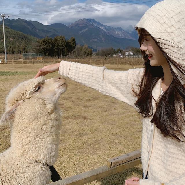 浪漫的QQ签名，浪漫的qq签名（独一无二的高级个性签名）