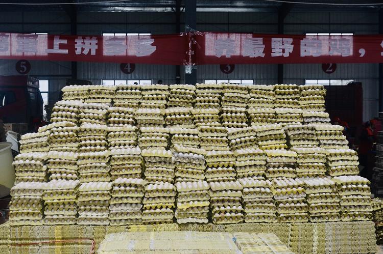 拼多多总部在哪里(拼多多总部24小时投诉电话)