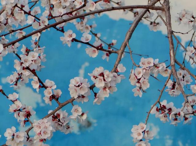 双鱼座厉害之处，双鱼座的强大之处（实则能“治住”强者）