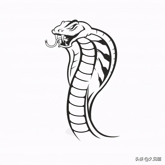 印度蛇为什么是保护动物，印度每年4.59万人死于蛇咬