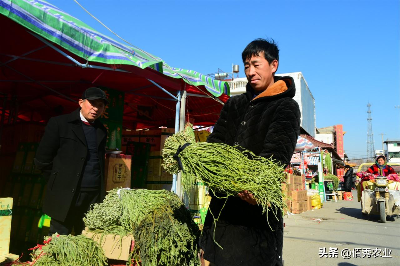 最火爆的小生意有哪些（农村人不容错过的5种小生意推荐分享）