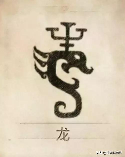 一个草字头一个吕，草字头加吕什么字（中国100大姓氏起源、图腾）