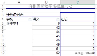 excel中数据透视表如何分类汇总求和，数据透视表怎么做分类求和（在数据透视表中进行计算分组）