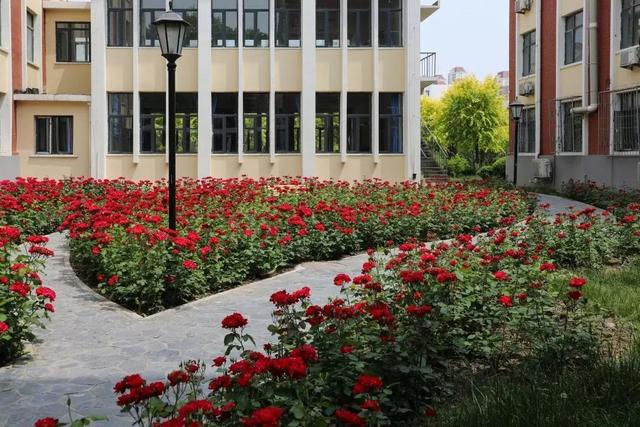 天津农学院是几本，天津农业学院是几本的（天津市普通高等院校）