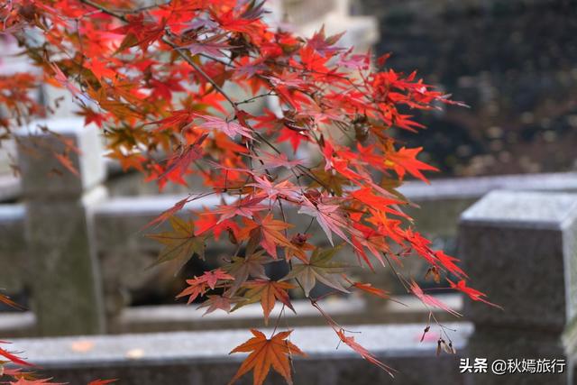 常熟虞山风景区是哪的，常熟市中心这座免费公园